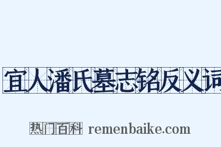 宜人潘氏墓志铭反义词是什么意思的图片